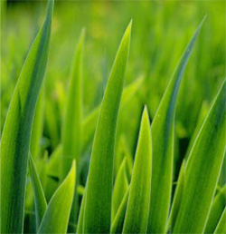 Cene grafi�nega dizajna